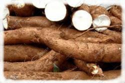 how to store cassava starch | commercial cassava starch production line