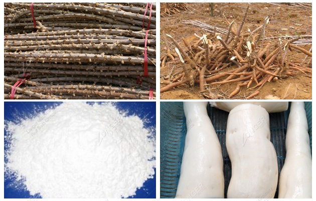 cassava starch | cassava starch machine